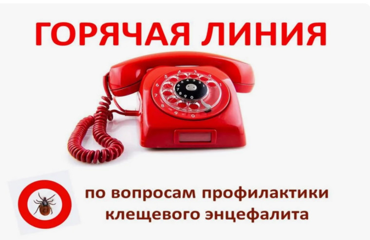 «Горячая линия» по профилактике клещевого энцефалита и инфекций, передающихся клещами.